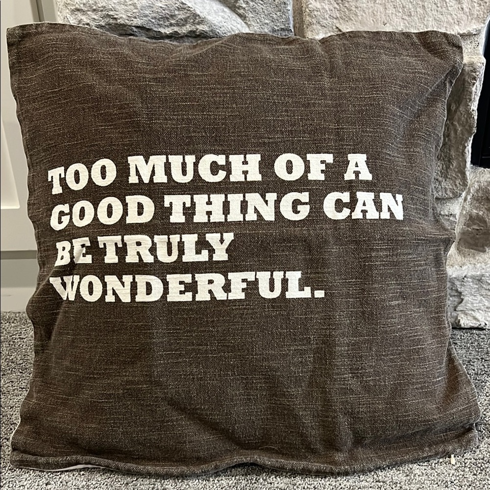 Pottery Barn Brown Accent Pillow Cover